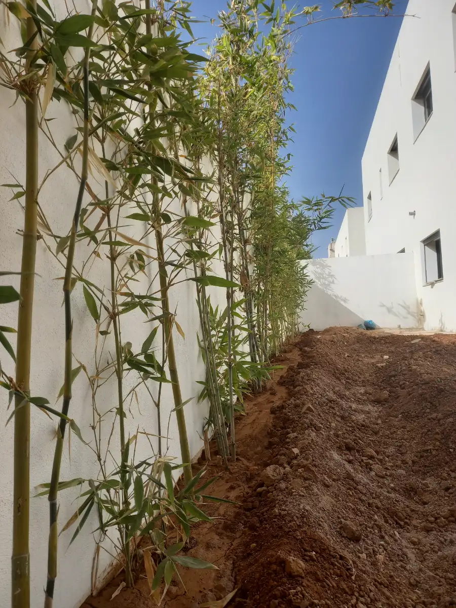 عبد الحفيظ photo 2