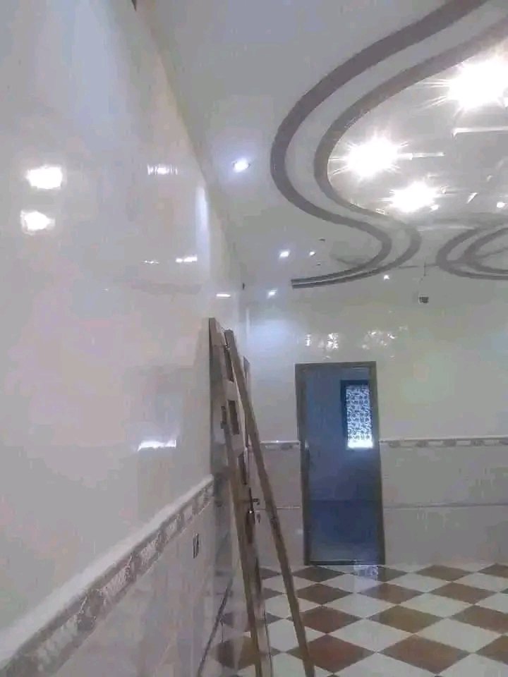 صورة صباغ محترف 