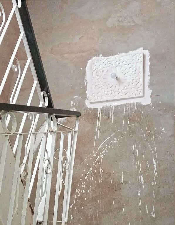بدر بدر photo 4