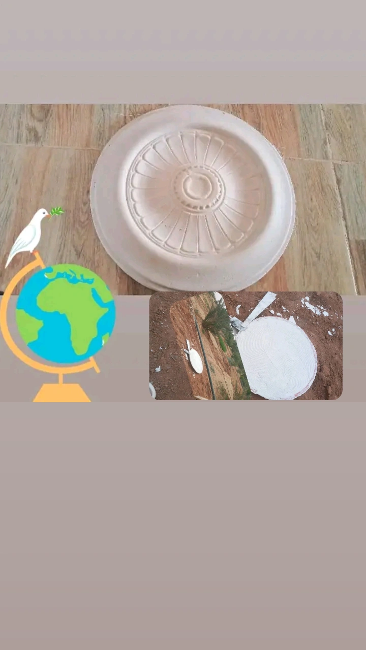 بدر بدر photo 5