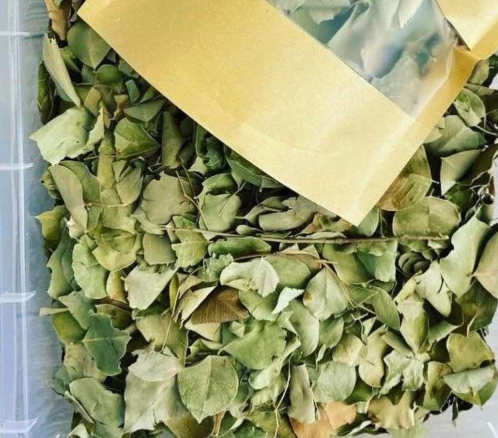 أوراق السدر الصحراوي